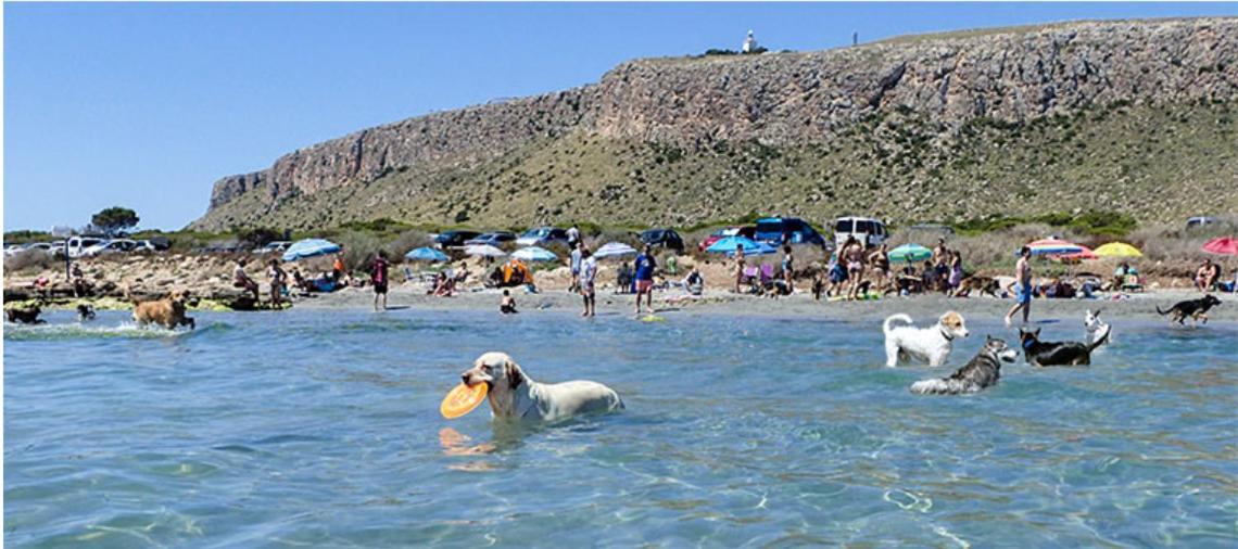 Adosado Tranquilo Con Piscina Y Vistas Al Mar Lejlighed Puerto Marino Eksteriør billede